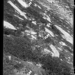 Valle di Susa - Sotto Colle D'Ambin presso Roc del Cuculo (Cucco) - LN00025322