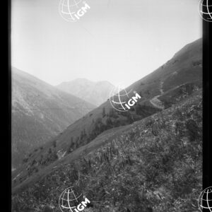 Valle di Susa - Sul Clot Arnaud - LN00025348