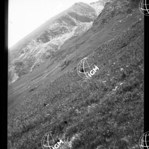 Valle di Susa - Alle Cinque Combe - LN00025354