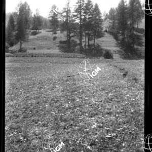 Valle di Susa - Grange Serena - LN00025355