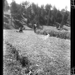 Valle di Susa - Grange Serena - LN00025356