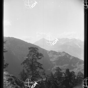 Valle di Susa - Sui Prati dell'Infernet - LN00025398