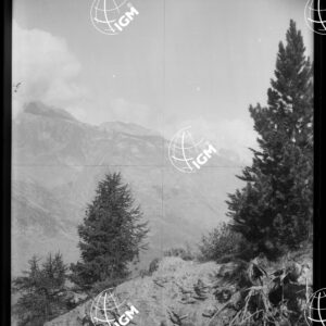 Valle di Susa - Sui Prati dell'Infernet - LN00025402