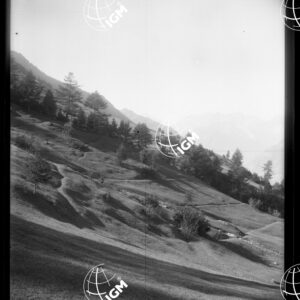 Valle di Susa - Sopra il Sapè d'Exilles - LN00025405