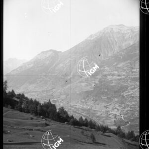 Valle di Susa - Sopra il Sapè d'Exilles - LN00025406