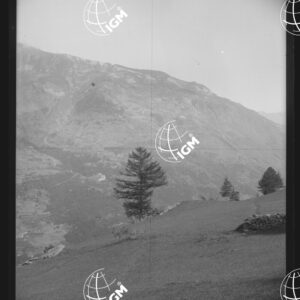 Valle di Susa - Sopra il Sapè d'Exilles - LN00025409
