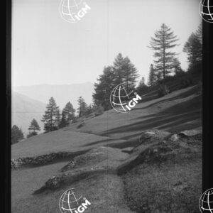 Valle di Susa - Sopra il Sapè d'Exilles - LN00025410