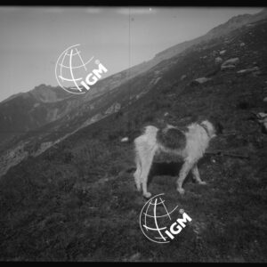 Valle di Susa - Sulla Cresta del Tour - LN00025499