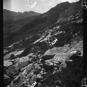 Alta Valle di Lanzo - Val Grande di Stura - Sopra Bec Ceresin - LN00025632