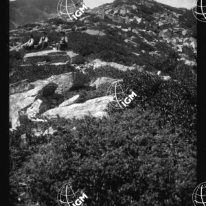Alta Valle di Lanzo - Val Grande di Stura - Sopra Bec Ceresin - LN00025633
