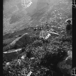 Alta Valle di Lanzo - Vallone di Sea - Sopra il Truc Belvedere - LN00025666