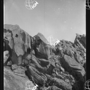 Sardegna - Alla Maddalena - LN00025673