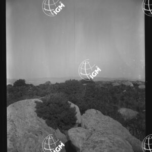 Sardegna - Alla Maddalena - LN00025700