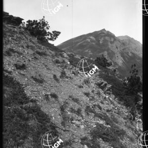 Monte Viso - Ad Est di Conce - LN00025764