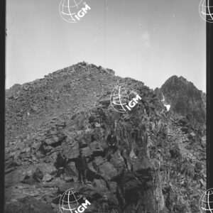 Monte Viso - R. Meano - LN00025818
