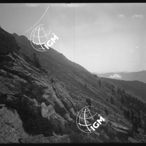 Monte Viso - Serra Ombrencia - LN00025831