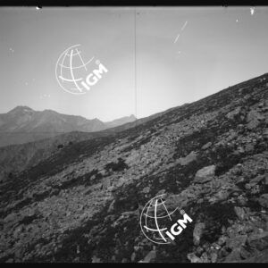 Monte Viso - Serra Fornelli - LN00025841