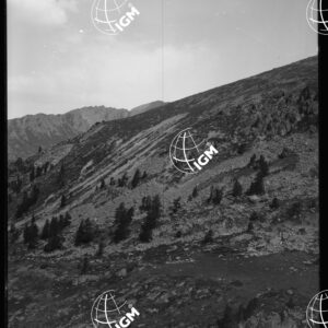 Monte Viso - Sulla sinistra del Vallone Giargiatte - LN00025846