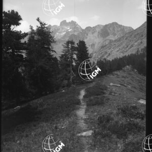 Monte Viso - Costa Ciarme ( Pian Courlù ) - LN00025866