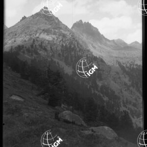 Monte Viso - Costa Ciarme ( Pian Courlù ) - LN00025868
