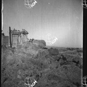 Sardegna - Alla Maddalena - LN00025709