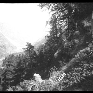Monte Viso - A circa 400 metri a Nord Dell'Accampamento - LN00025920
