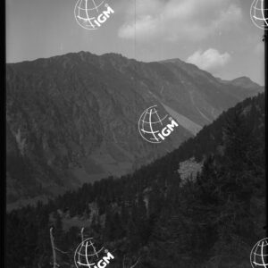 Monte Viso - Presso l'Accampamento della Mulattiera di Valle Giargiatte - LN00025930