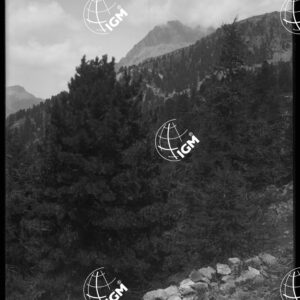 Monte Viso - Presso l'Accampamento della Mulattiera di Valle Giargiatte - LN00025931