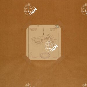 SCHIZZO DELLA ZONA GUNN GADO'