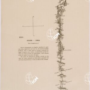 ITINERARIO MAREB ADDIS ABEBA - SEZIONE 23 - ALELTU' JEKA'