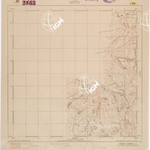 TIGRAI - FOGLIO 2463 I NE - ASTA