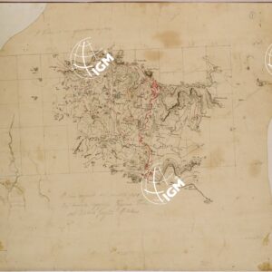 AMBA ALAGI - TAVOLA 1