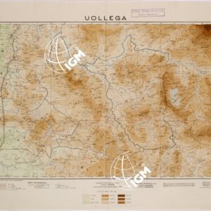 UOLLEGA