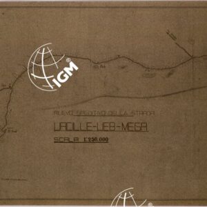 RILIEVI SPEDITIVO DELLA STRADA UACILLE - UEB - MEGA.