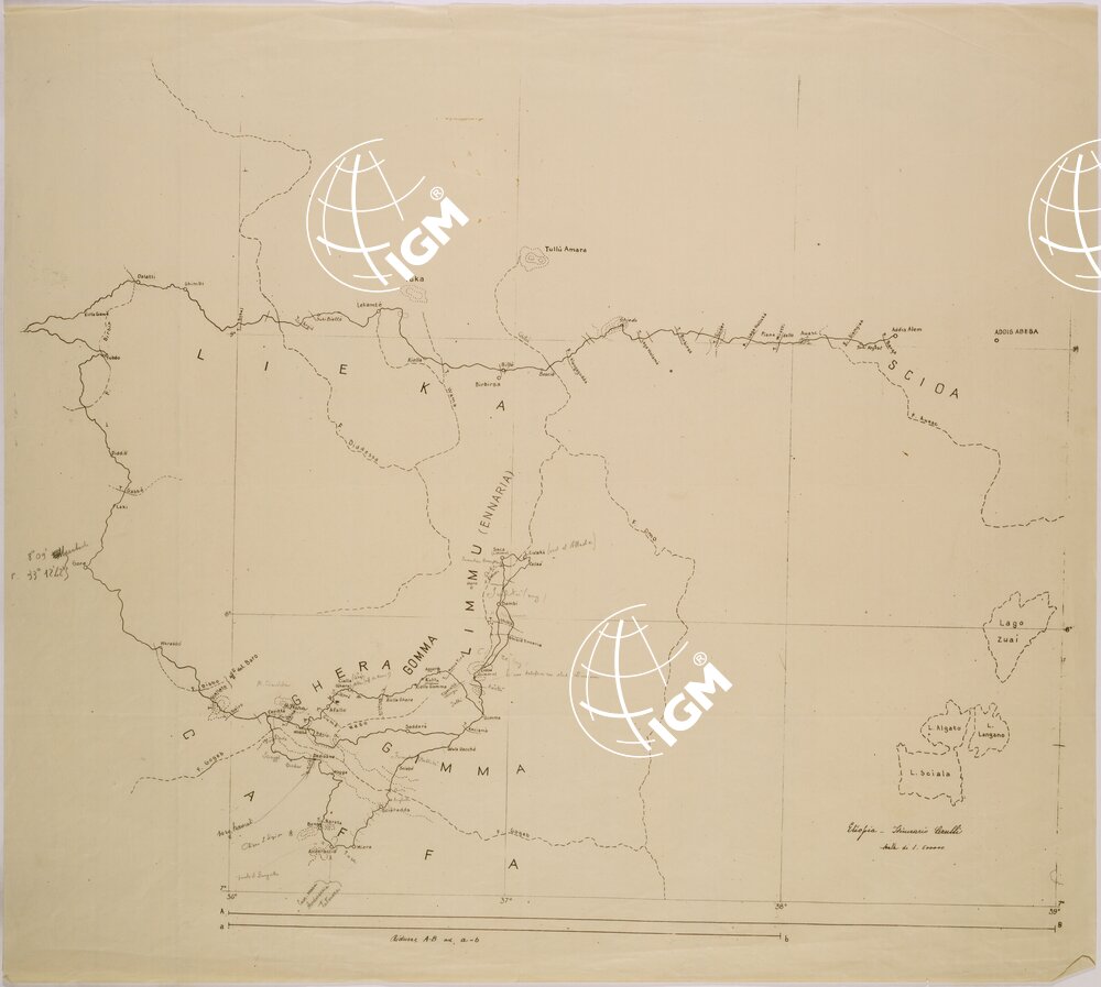 ITINERARI CERULLI.
