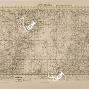 AINE REGADA FOGLIO 98