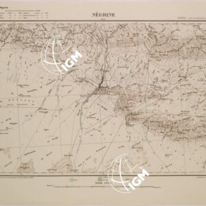 ALGERIA NEGRINE FOGLIO 50