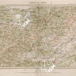 TUNISIA SOUK EL ARBA FOGLIO IV