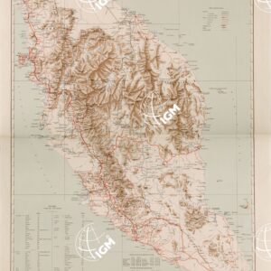MALESIA BRITANNICA