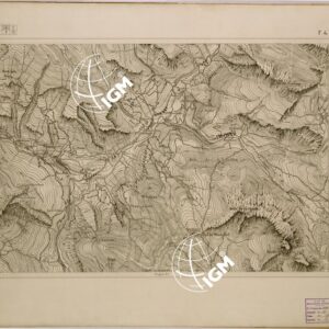 TOURNOUX S. VINCENT FOGLIO 4