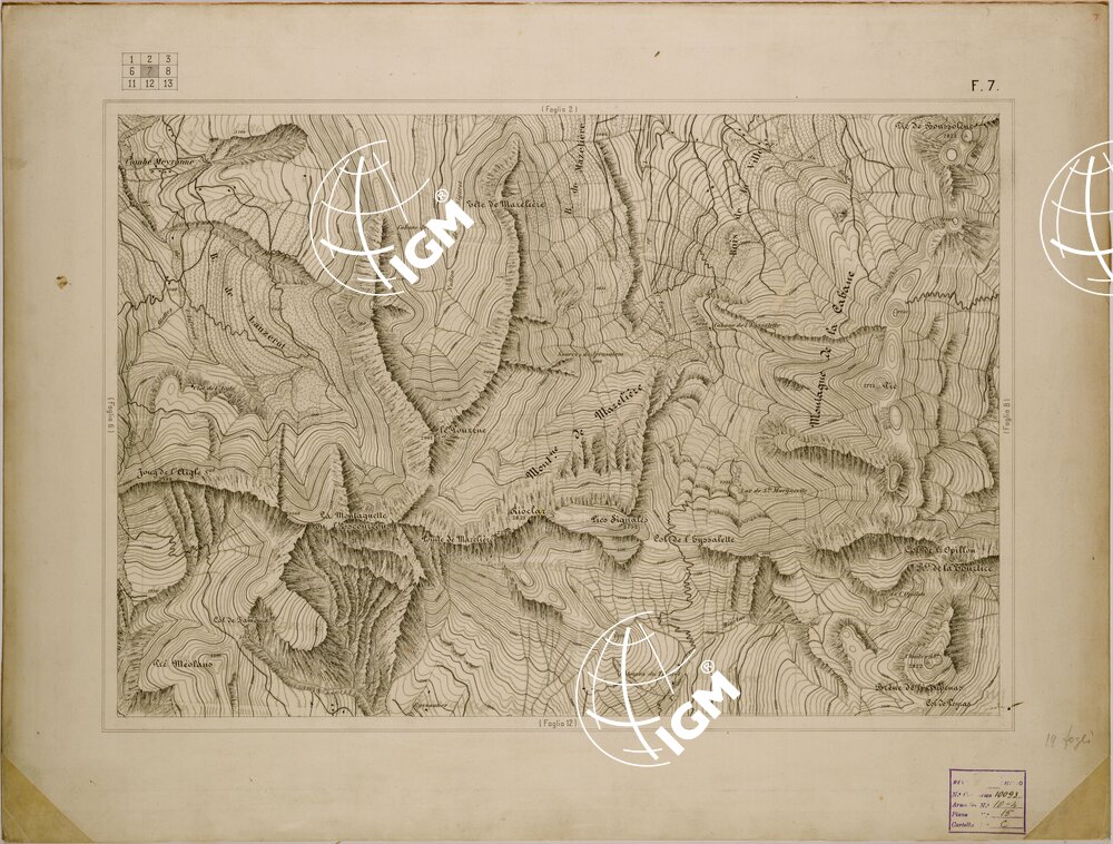 TOURNOUX S. VINCENT FOGLIO 7