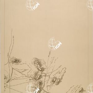 ADUA E DINTORNI - FOGLIO 3