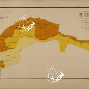 CARTA DIMOSTRATIVA