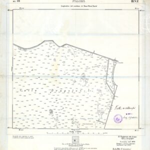 CARTA DELLA LAGUNA DI VENEZIA - FOGLIO 16 III NE - PALUDA