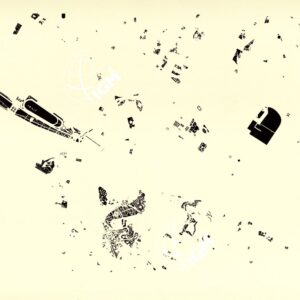 PIANTA DELLA CITTA' DI FIRENZE - COPIE SU CARTA A COLORI SEPARATI - VEGETAZIONE