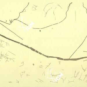 PIANTA DELLA CITTA' DI FIRENZE COPIA SU CARTA A COLORI SEPARATI ACQUE.