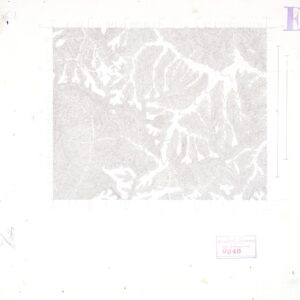 SPEDIZIONE DE FILIPPI IN KARACORUM - L' ALTA VALLE DELL' IUNAN E IL BARALACIA-LA - ORIGINALE - OROGRAFIA