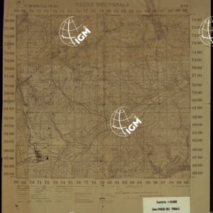 CARTA D'ITALIA F. 20 IV NE PONTE DEL TONALE