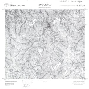 CALABRIA  FOGLIO 230 III NE SEZ C LONGOBUCCO