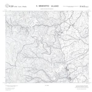 CALABRIA  FOGLIO 229 III NE SEZ C S.BENEDETTO ULLANO
